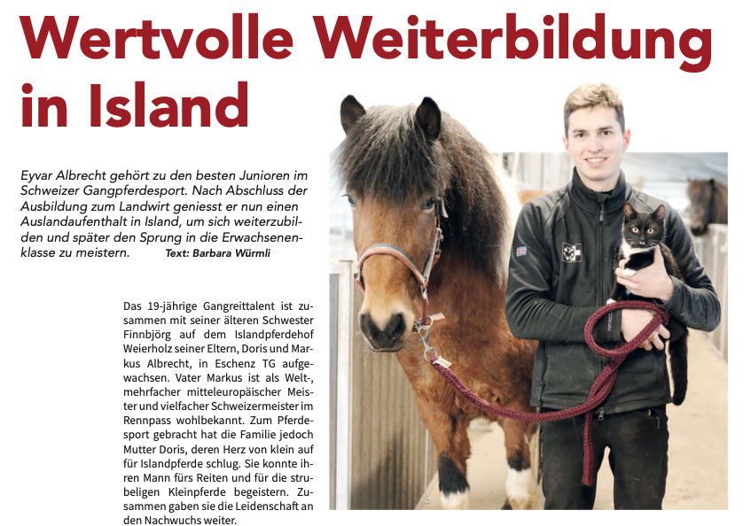 Eyvar in der Pferdewoche - Wertvolle Weiterbildung in Island