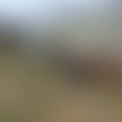 Reittour Island 2019 - Die Daten