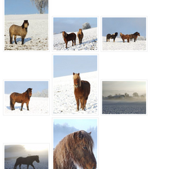 Der Winter ist eingetroffen!