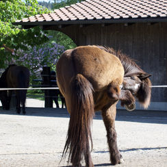 Aus unserer Foto-Schatz-Truhe