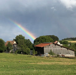 Stimmungsvolles Weierholz