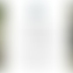 Beritt & Reitstunden Herbst 2018