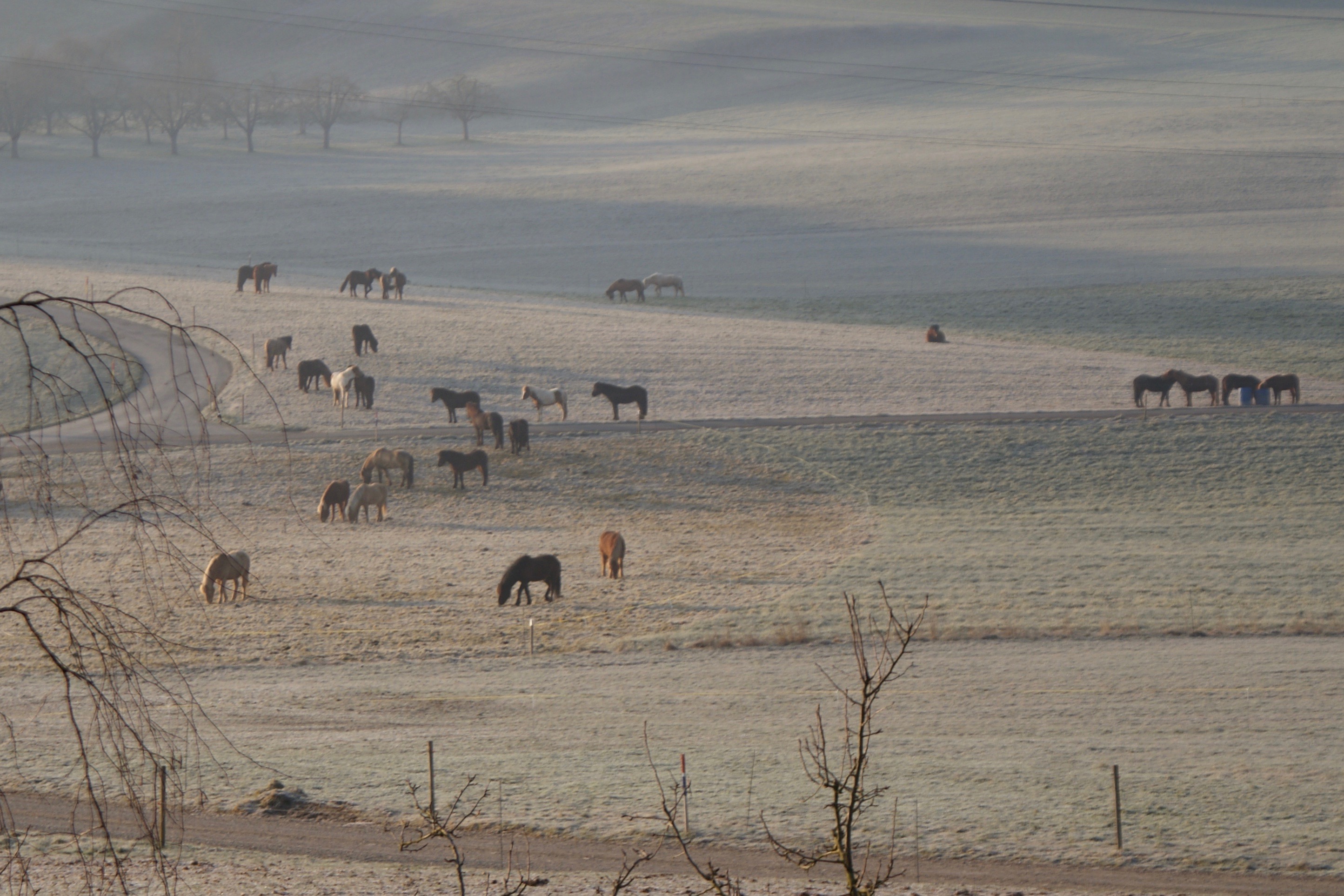 Unser Hof | Winterweide