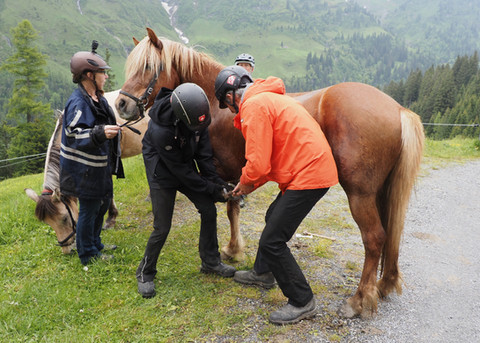  Auf zum Alpen-Spa!  Bestens gelaunt und voller Vorfreude haben unsere Jungpferde den Weg auf die Alp unter ihre Hufe genommen.