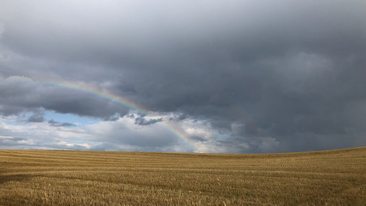 Die aktuelle Wetterlage hüllt das Weierholz immer wieder in zauberhafte Stimmung – hier eingefangen von Karin auf einem Ritt mit ihrem Hnappur. 