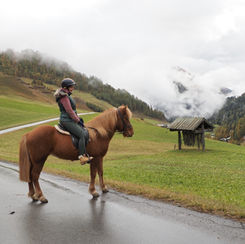 Reitunterricht auf höchstem Niveau