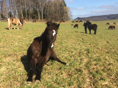 Fit in den Frühling