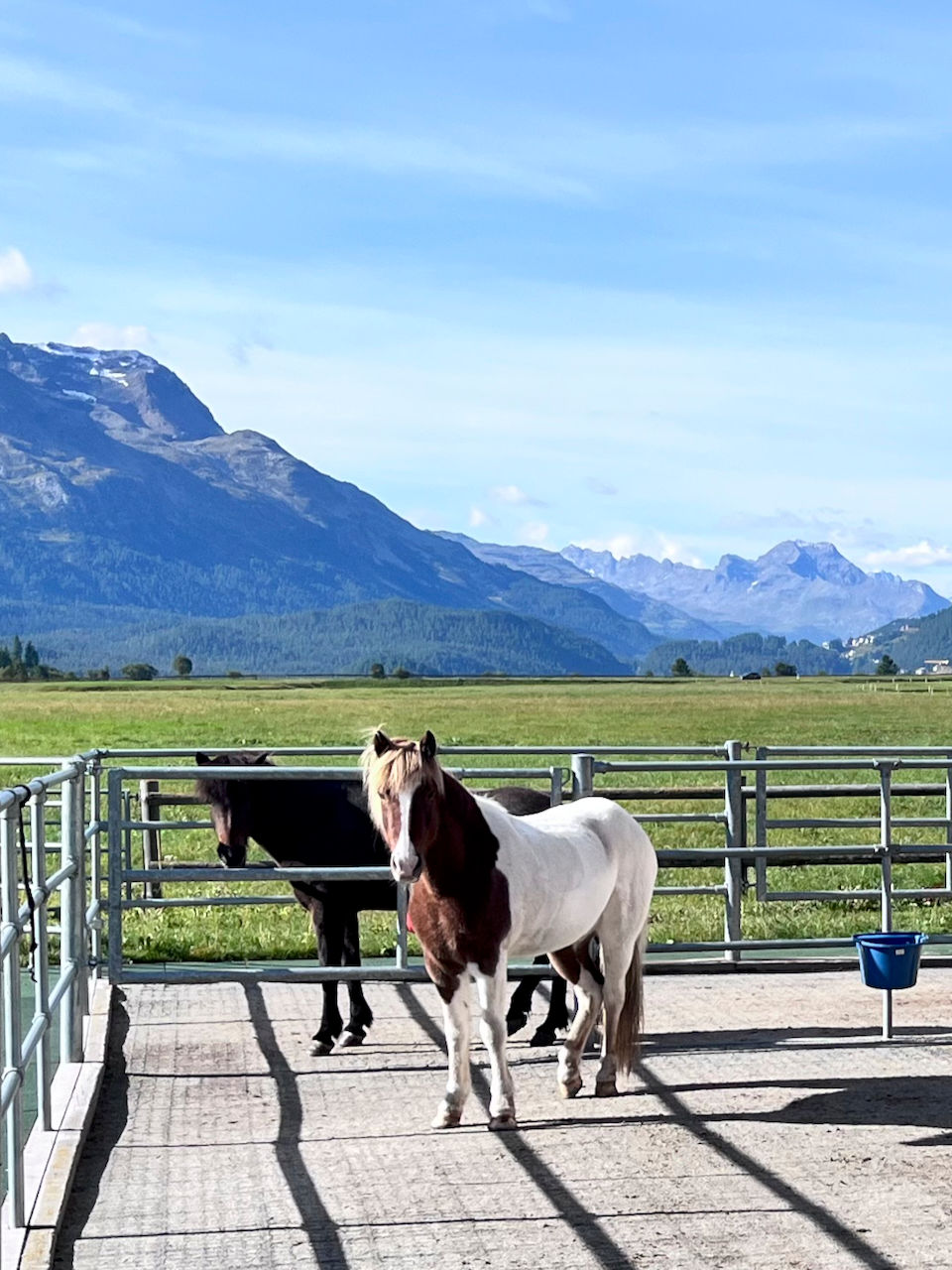 Paradiesische Auszeit mit Pferd . Wo ist es im Spätsommer schöner als im Engadin? 