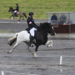 Finnbogi gewinnt die Töltprüfung am Islandsmót