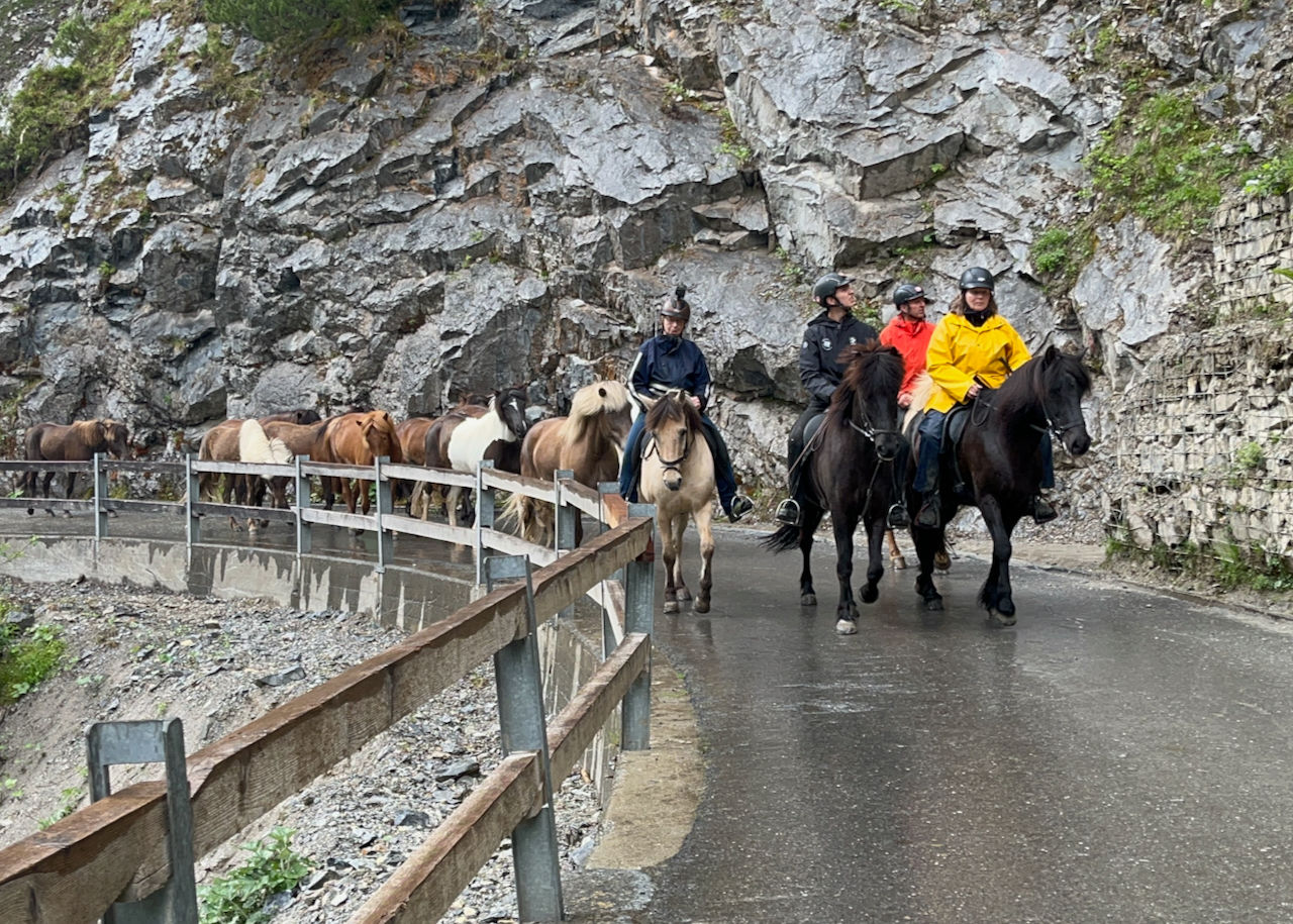  Auf zum Alpen-Spa!  Bestens gelaunt und voller Vorfreude haben unsere Jungpferde den Weg auf die Alp unter ihre Hufe genommen.
