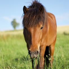 Aus unserer Foto-Schatz-Truhe