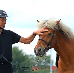 Markus ist für den Reiter des Jahres 2017 nominiert