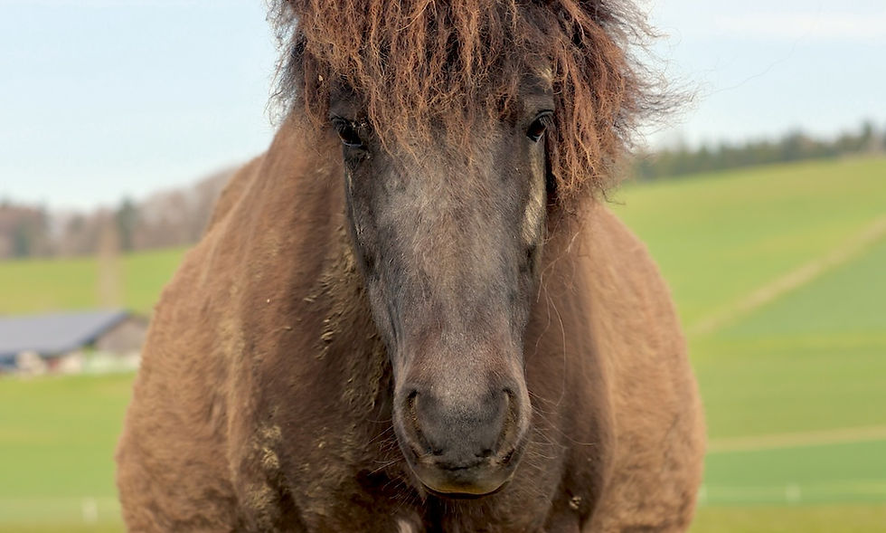 Bauchgefühl: Es geht bald los!