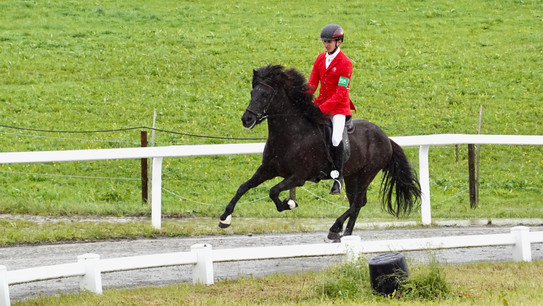 Turnier Möllenbronn - Regen, Regen und nochmals Regen Trotz extrem schlechtem Wetter zeigten unsere Pferde  an der Baden-Württembergische Meisterschaft  sehr gute Leistungen!