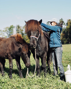 Kleine Helferlein im Hofalltag