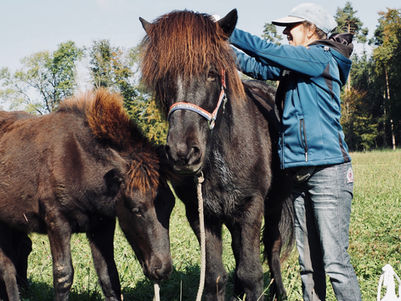 Kleine Helferlein im Hofalltag