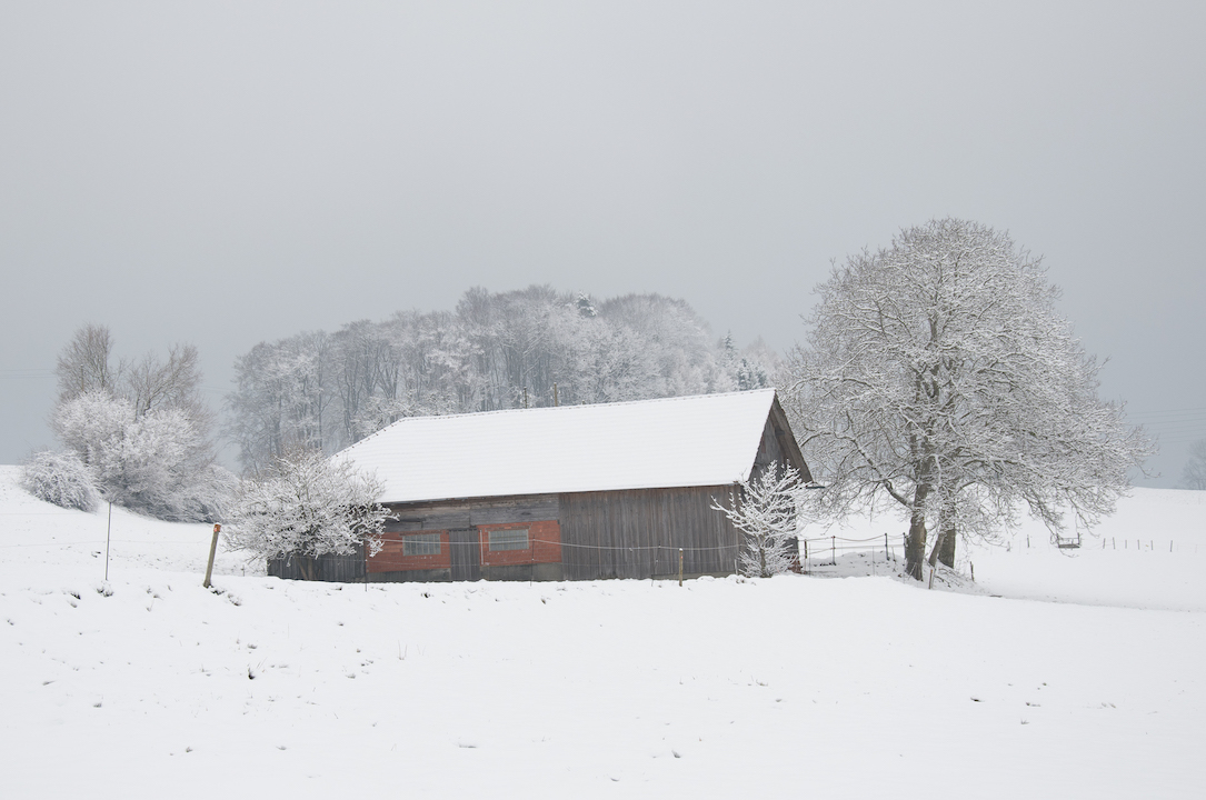Unser Hof | Schürli im Schnee