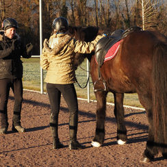Reitstunden wie aus dem Bilderbuch