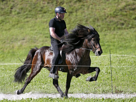 Noch mehr tolle Fotos von der SM