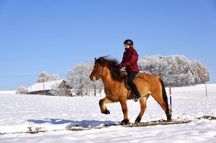 Der Winter ist das Reiter und Pferde geniessen die weisse Pracht in vollen Zügen. Islandpferdehof Weierholz
