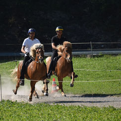 Erfolgreiche Schweizer Meisterschaften in Brunnadern