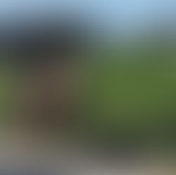 All I want for Christmas…