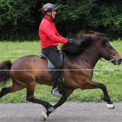Goldregen, Silbersegen, Bronze und 2 WM-Tickets