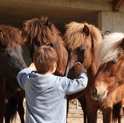 Der 7-jährige Marius freut sich riesig über die Begegnung mit unseren Jährlingen.
