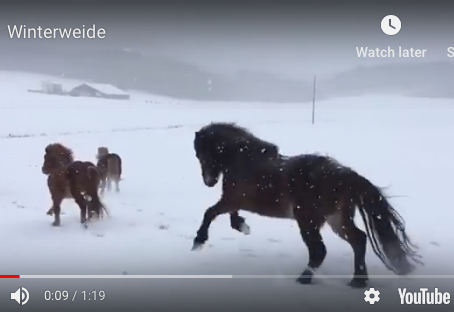 Juhui, es geht auf die Weide!