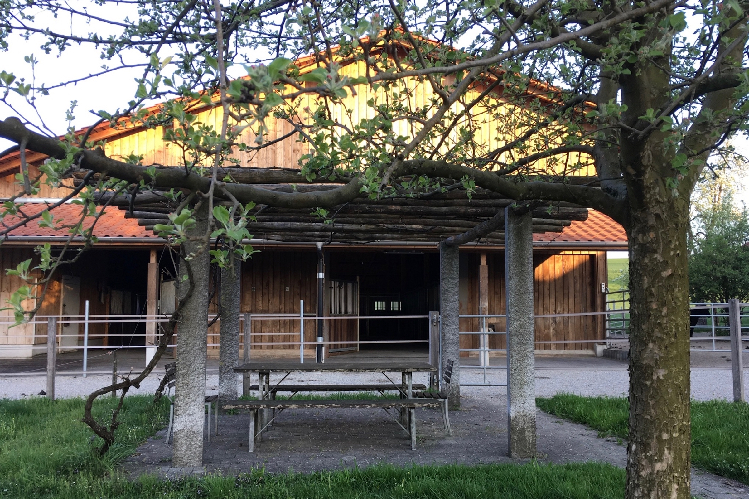 Unser Hof | Die Pergola