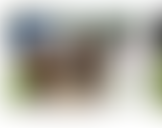 Erfolgreiche Weierhölzler am Turnier in der Lieburg!