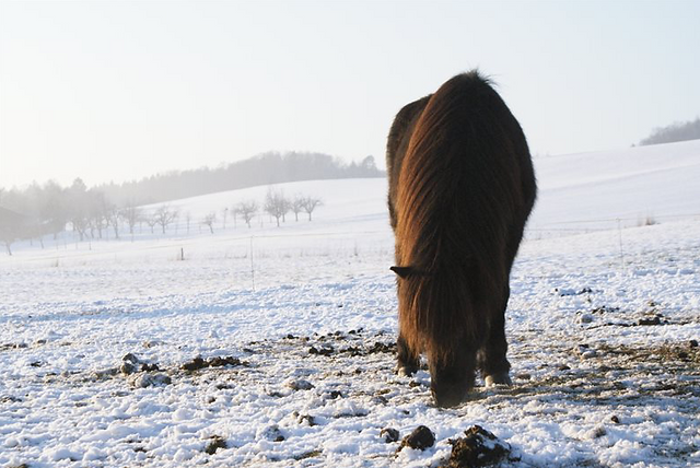 Winterbilder 2016