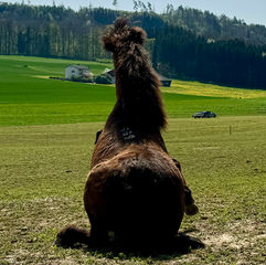 Das Freitags Bild