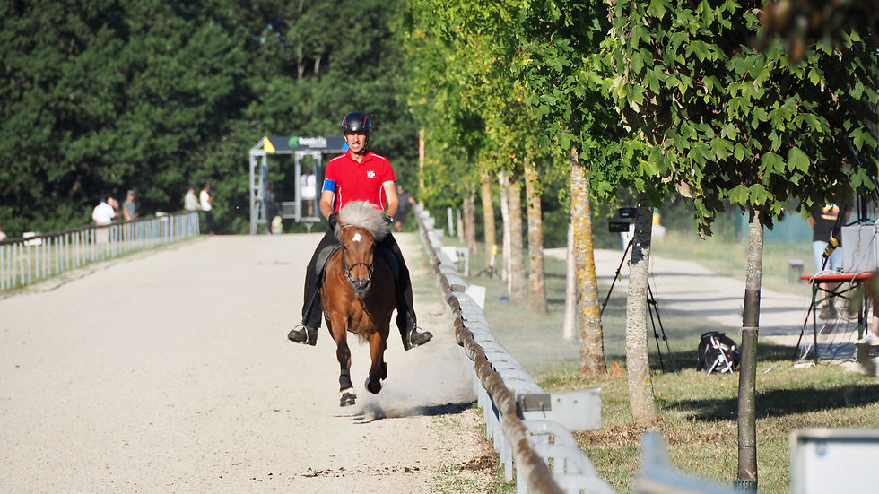 Markus und seine Pferde befinden sich weiterhin im Höhenflug: An der Deutschen Meisterschaft in Neuler sicherte er sich Gold im 250m Passrennen mit Kóngur und Silber im 150m Passrennen mit Snilld.
