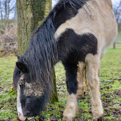 RandalÃn im Wellnessurlaub