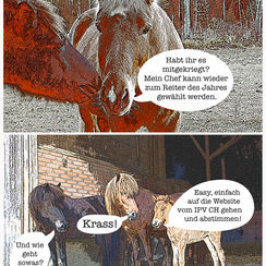 Stallgeflüster zur Wahl «Reiter des Jahres 2021»