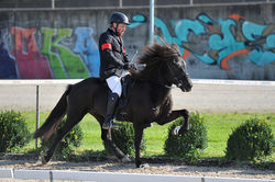 Erfolgreich Unterwegs