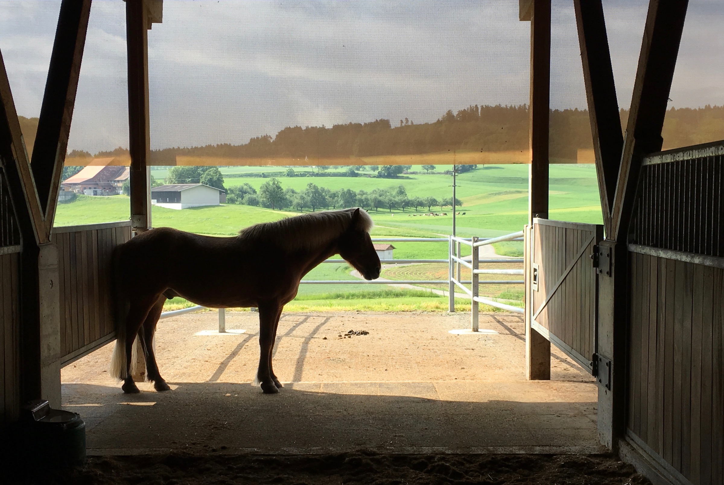 Unser Hof | Stall mit Blick