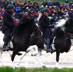 Bjarni am Landsmót und am Islandsmót