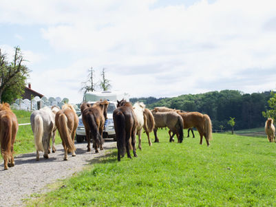 Daumen hoch für die neue Anhänger-Beschriftung