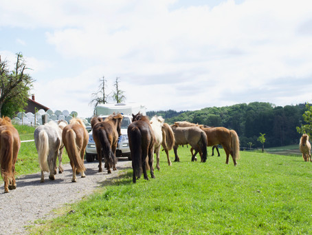 Daumen hoch für die neue Anhänger-Beschriftung