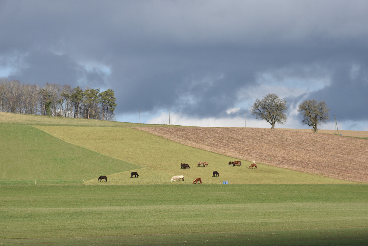 Unser Hof | Winter Weide