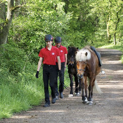 Móarbaer 2024 – schön war's!