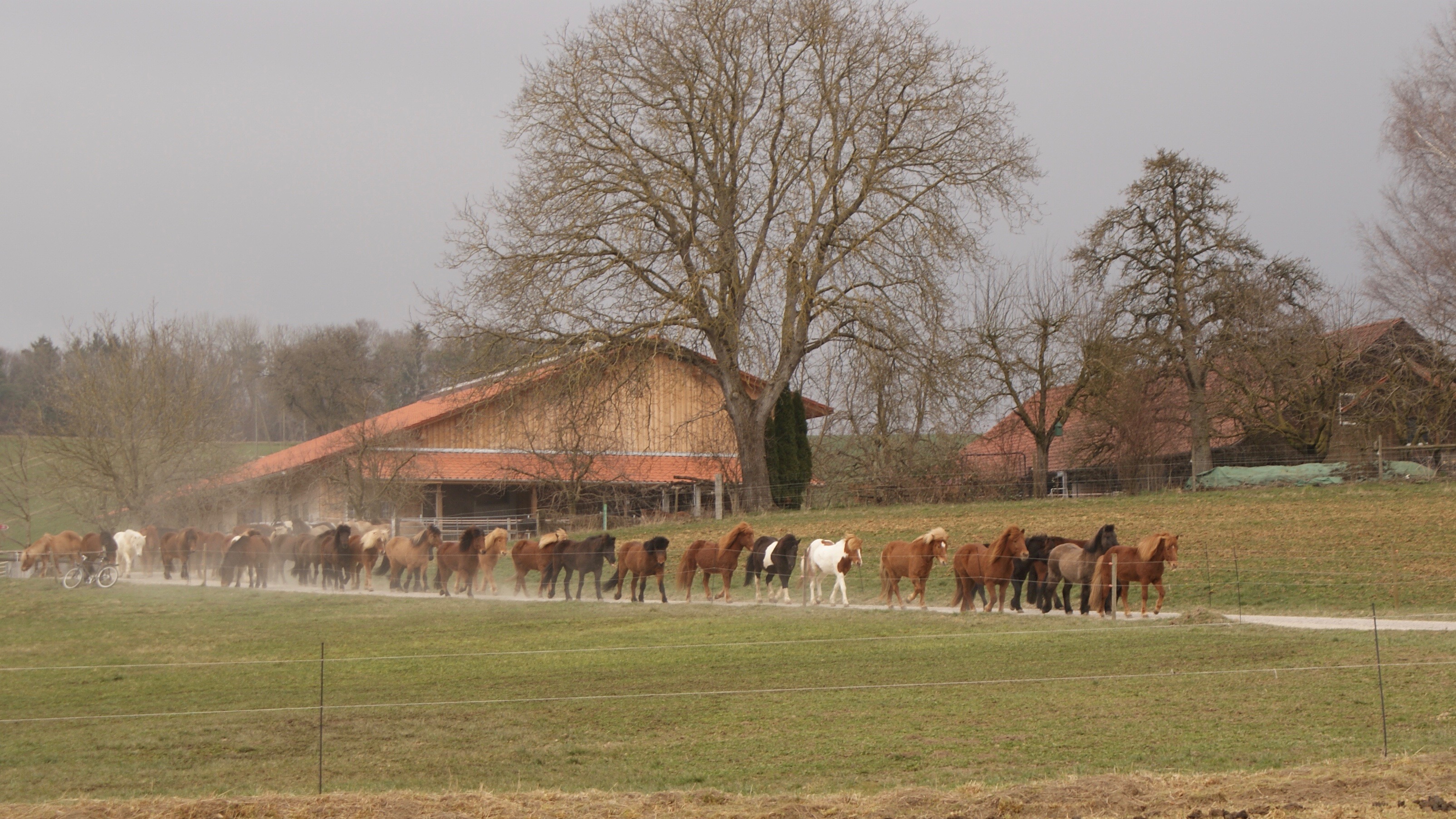 Unser Hof | Weideaustrieb