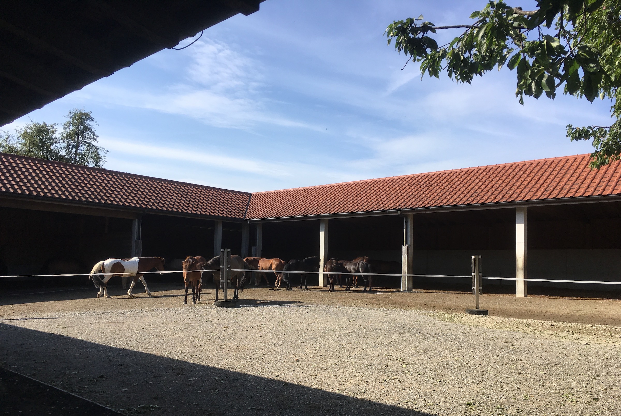 Unser Hof | Grosser Stall