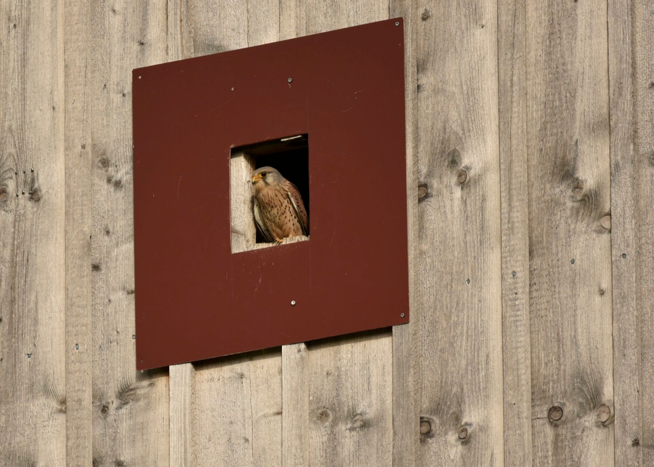 Über die Ostertagen