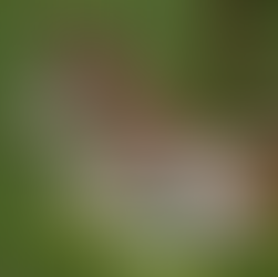 Glymurs erste Tochter ist da!