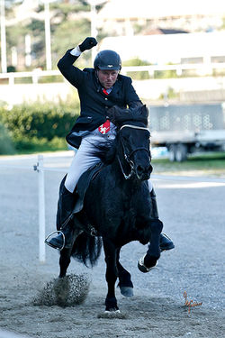 Erfolgreich Unterwegs