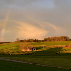 Ein Regenbogen über dem Weierholz