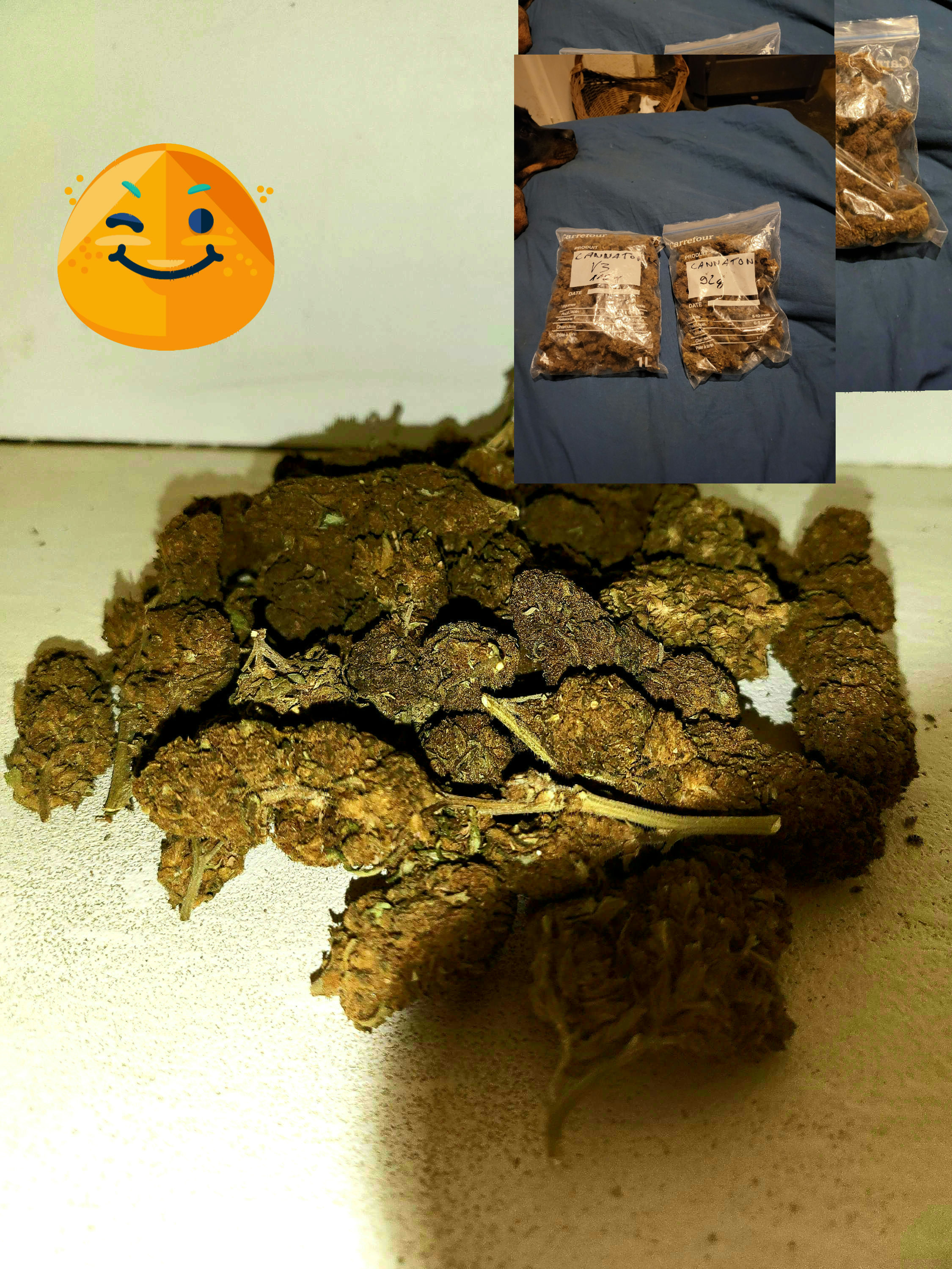 CBD Fleurs Cannatonic